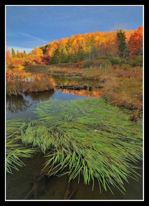Autumn Color at Spruce Knob Lake